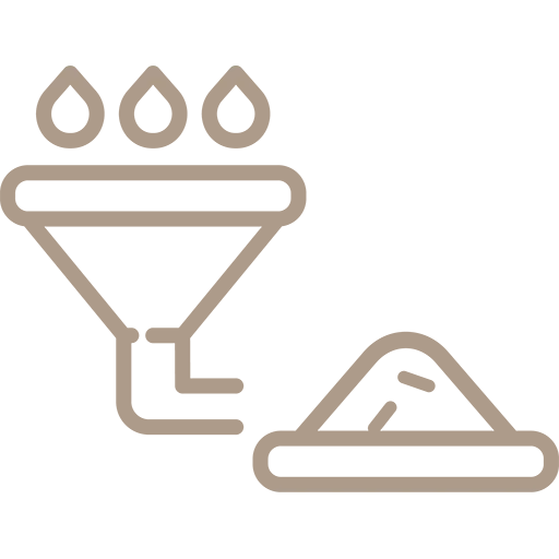 Flat Lay Cream Leaves White Background